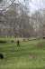 resIMG_20120225_0157.JPG